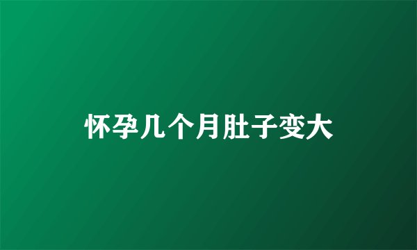 怀孕几个月肚子变大