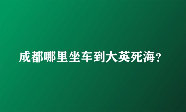 成都哪里坐车到大英死海？