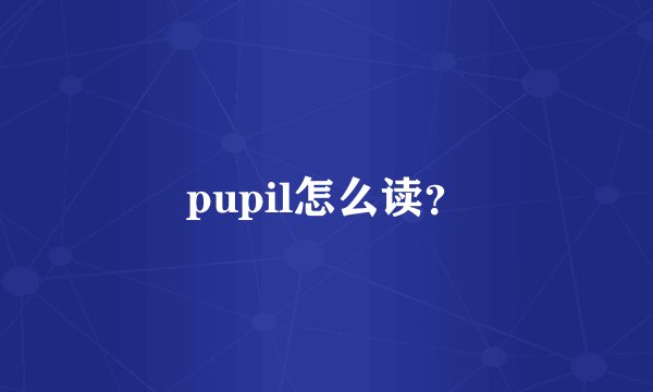 pupil怎么读?