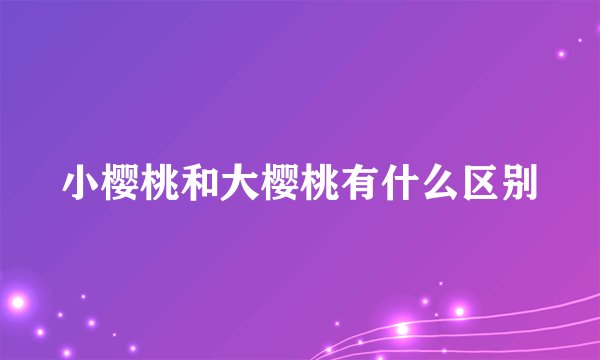 小樱桃和大樱桃有什么区别