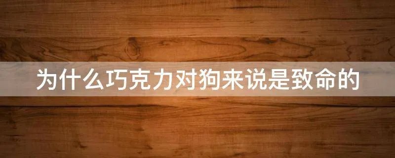 为什么巧克力对狗来说是致命的