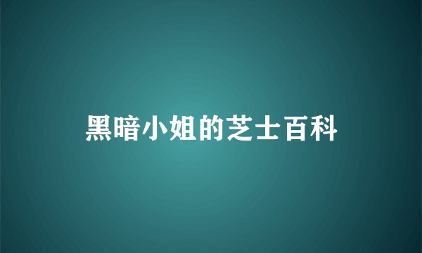 黑暗小姐的芝士百科