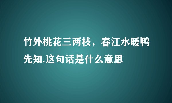 竹外桃花三两枝，春江水暖鸭先知.这句话是什么意思