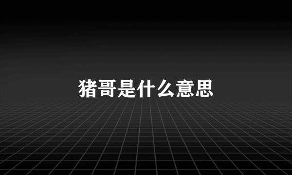 猪哥是什么意思