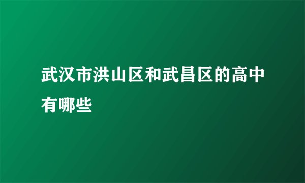 武汉市洪山区和武昌区的高中有哪些