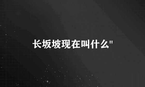长坂坡现在叫什么