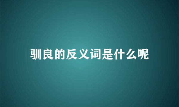 驯良的反义词是什么呢