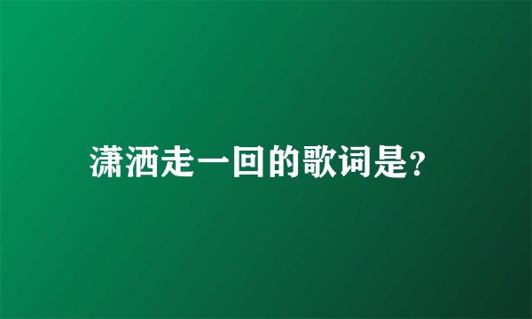 潇洒走一回的歌词是？