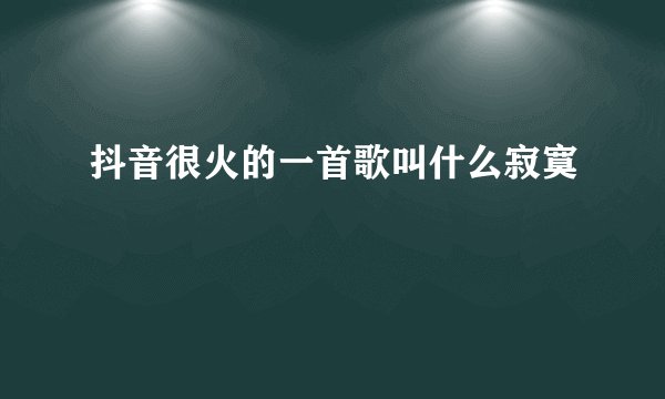 抖音很火的一首歌叫什么寂寞