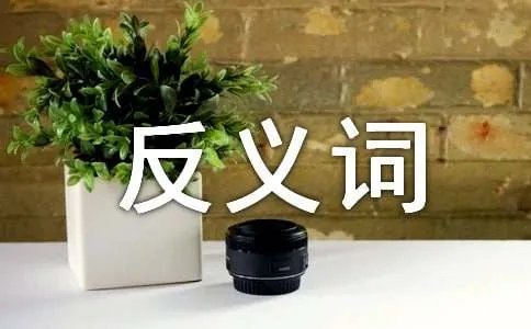 讨厌的反义词