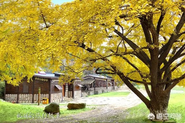 随州有哪些著名的旅游景点?