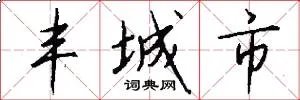 丰城市