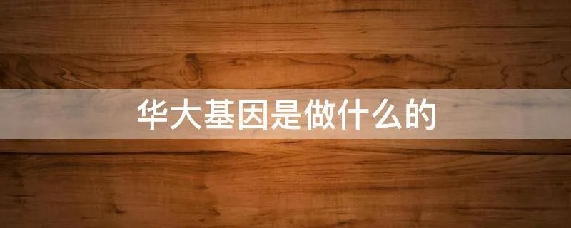 华大基因是做什么的