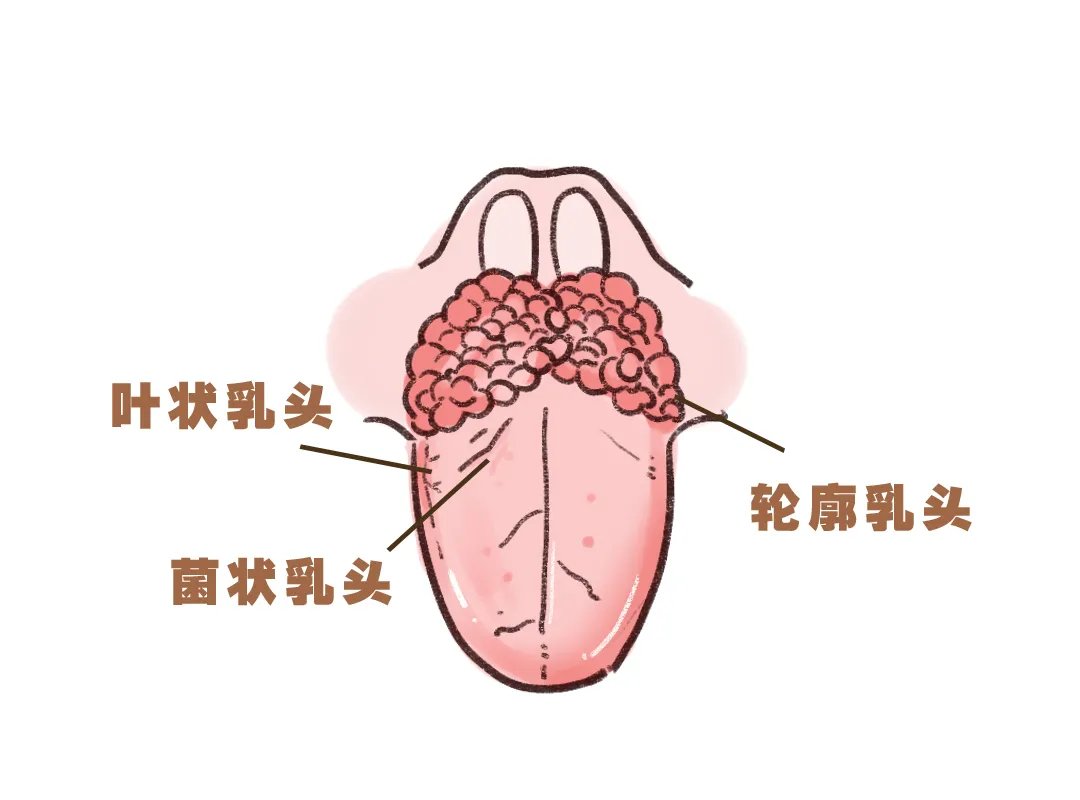 接吻有什么好处?