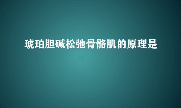 琥珀胆碱松弛骨骼肌的原理是