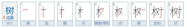 柳树的拼音
