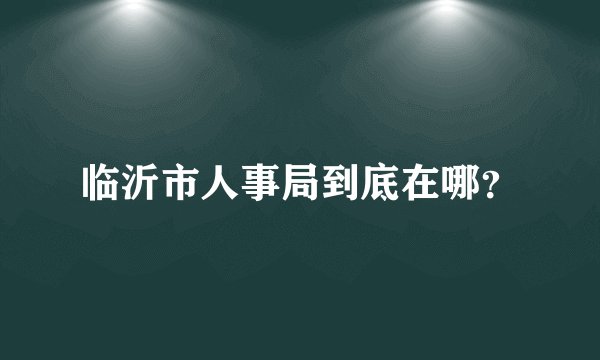 临沂市人事局到底在哪？
