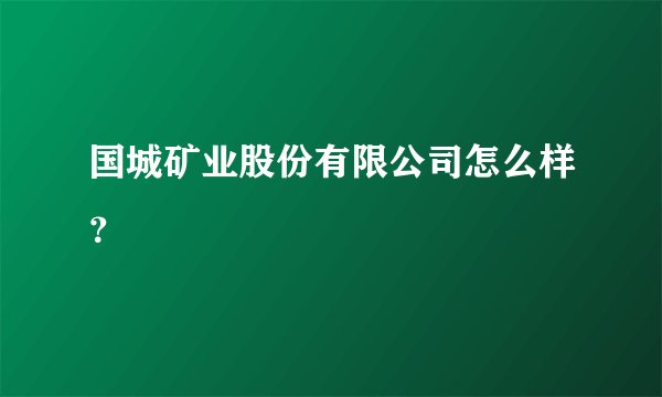 国城矿业股份有限公司怎么样？