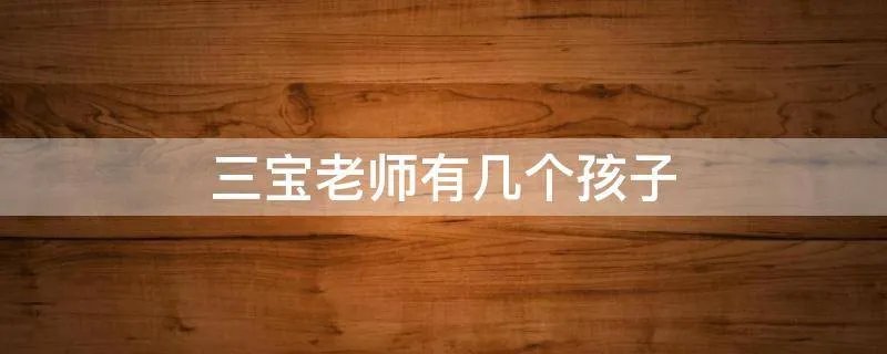 三宝老师有几个孩子