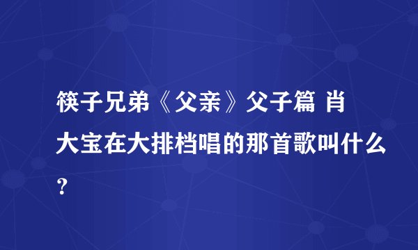 筷子兄弟《父亲》父子篇 肖大宝在大排档唱的那首歌叫什么?
