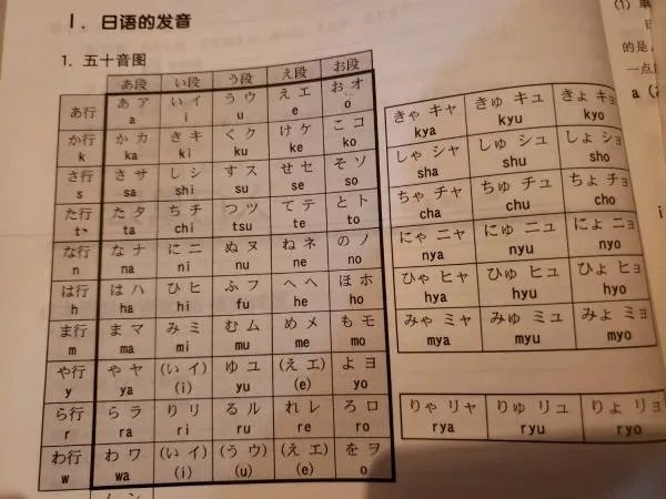 求五十音图，清晰而详细的大图