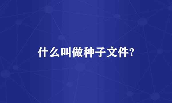 什么叫做种子文件?