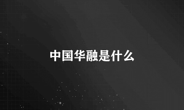 中国华融是什么