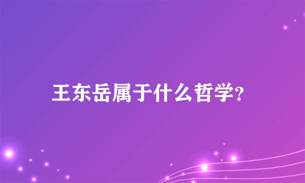 王东岳属于什么哲学？