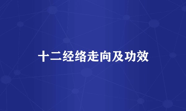 十二经络走向及功效