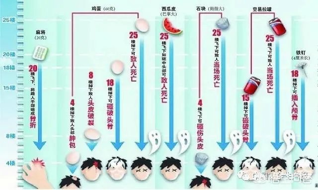 广州一女子被高空掉落的狗砸成重伤你怎么看？