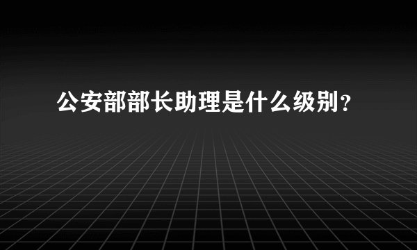 公安部部长助理是什么级别？