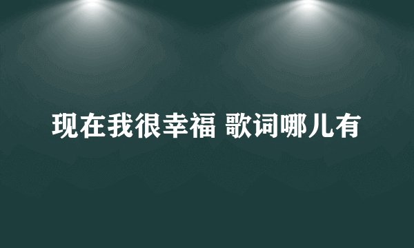 现在我很幸福 歌词哪儿有