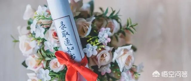 小学生面试要求家长带学历证书,你怎么看这个问题?