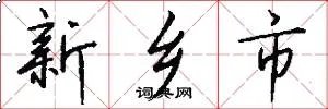 新乡市