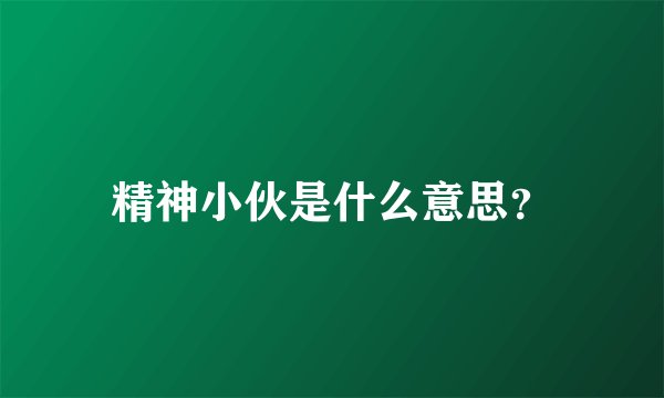 精神小伙是什么意思？