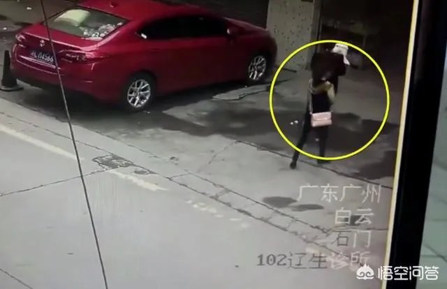 广州一女子被高空掉落的狗砸成重伤你怎么看？