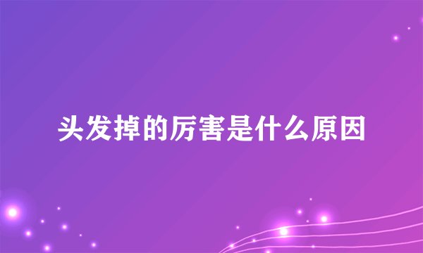 头发掉的厉害是什么原因