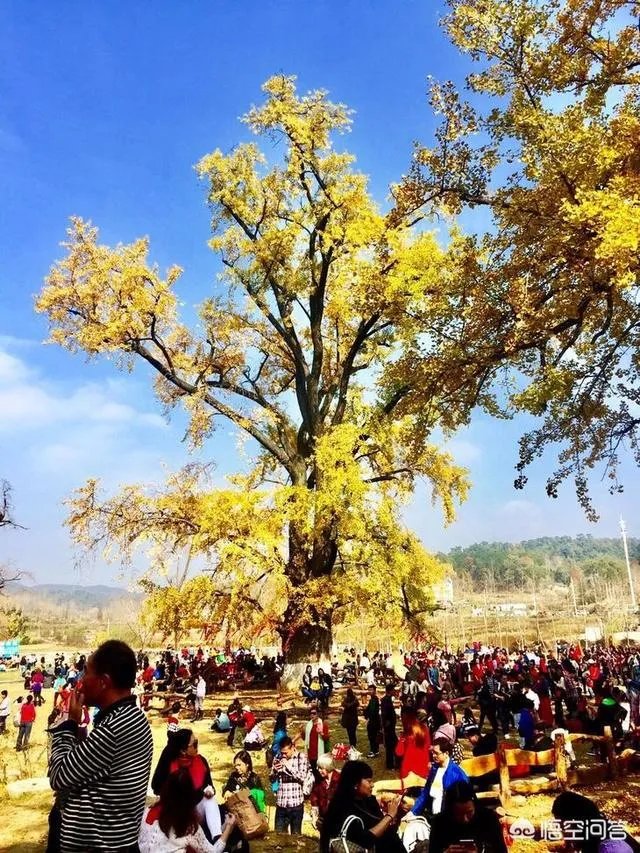 随州有哪些著名的旅游景点?