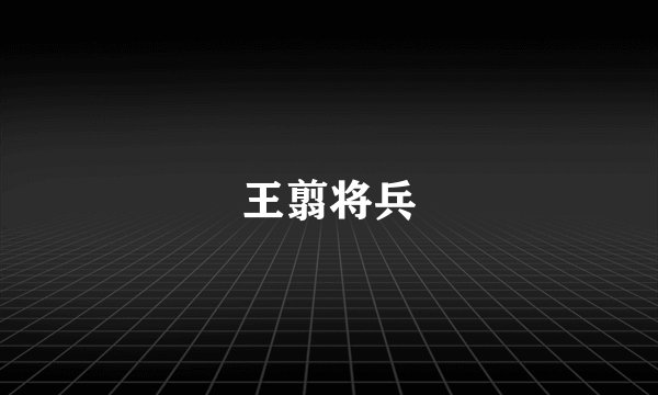 王翦将兵