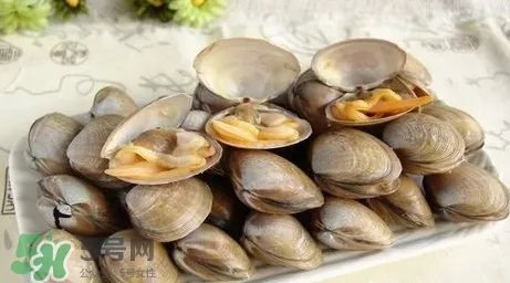 蚬子是寒性的吗?蚬子什么人不能吃