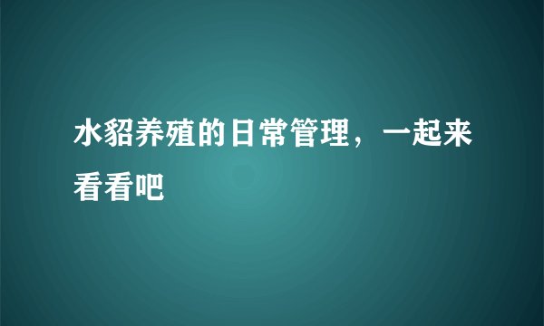 水貂养殖的日常管理,一起来看看吧