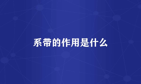 系带的作用是什么