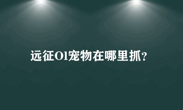 远征Ol宠物在哪里抓？