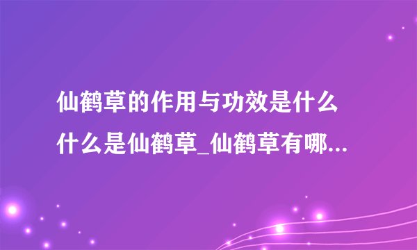 仙鹤草的作用与功效是什么 什么是仙鹤草_仙鹤草有哪些作用与功效_仙鹤草的形态特征_仙鹤草的入药方法