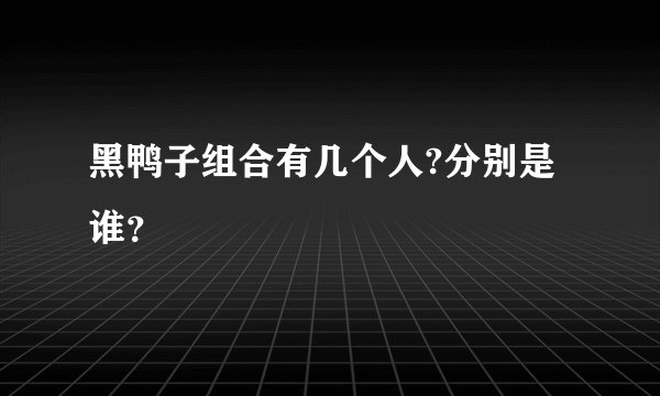 黑鸭子组合有几个人?分别是谁？