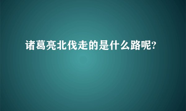 诸葛亮北伐走的是什么路呢?