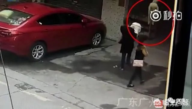 广州一女子被高空掉落的狗砸成重伤你怎么看？