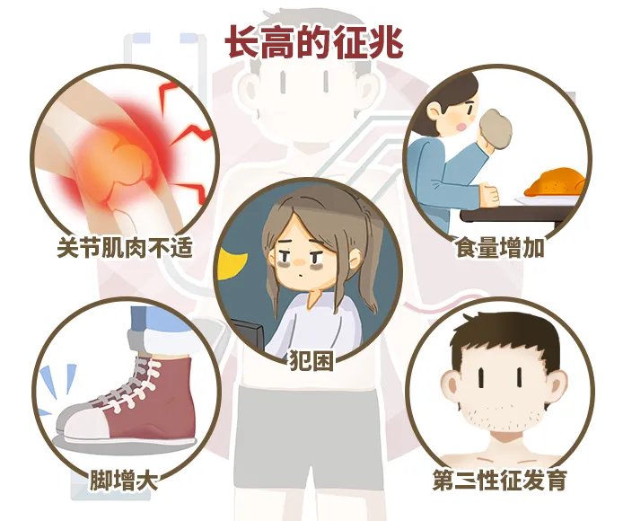 长高的征兆