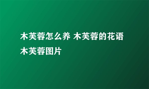 木芙蓉怎么养 木芙蓉的花语 木芙蓉图片