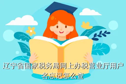 辽宁国税网上申报系统,辽宁省国家税务局网上办税营业厅用户名忘记怎么查